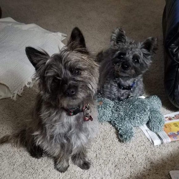 Meet your Posher, Terri - Picture 1 of 1